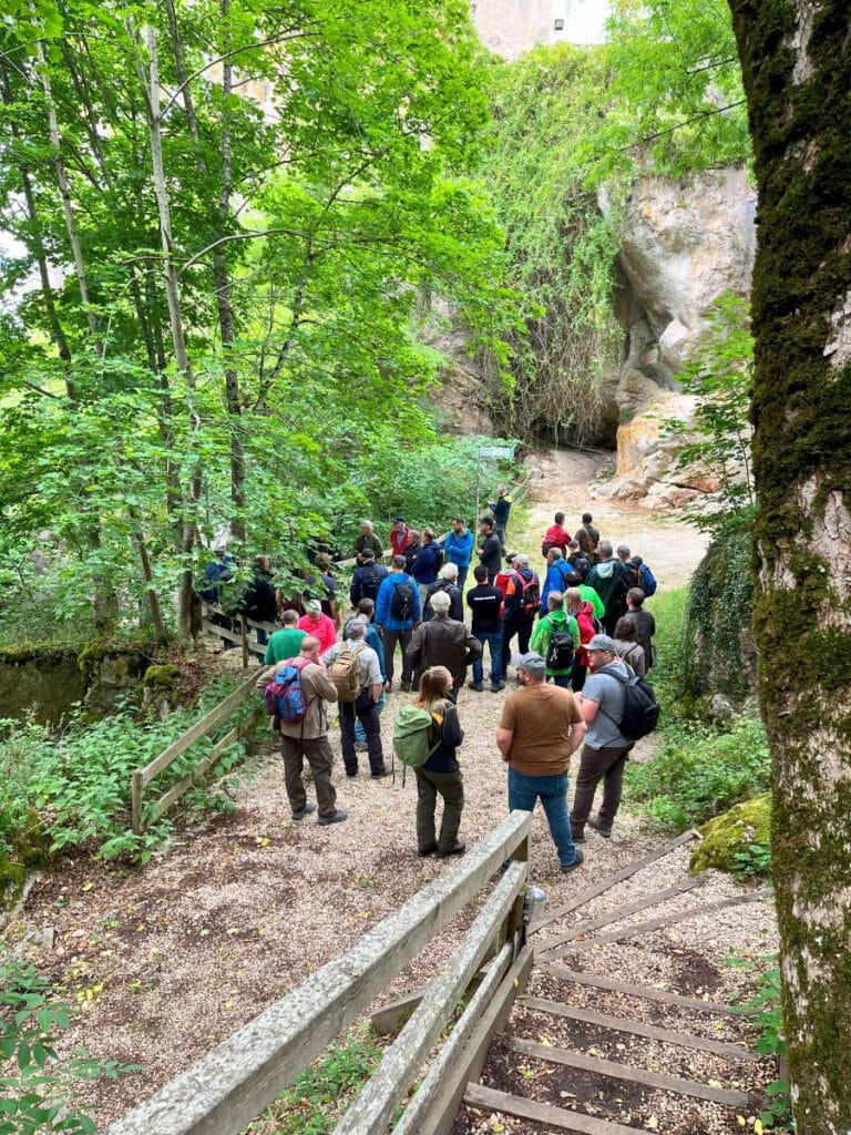 Unterhalb Schloss Bronnen erklärte Revierförster Mayer wo die Herausforderungen im Waldnaturschutz liegen. Anhand verschiedenen Arten erläuterte er, wie deren seltene Vorkommen im Donautal geschützt oder gefördert werden.