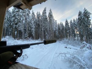 Infoserie Jagd – Teil 4: Eigentümerinteressen und Jagd – Gestaltung und Einflussnahme