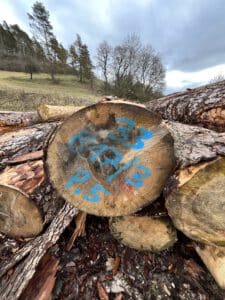 Geschäftsbericht 2025