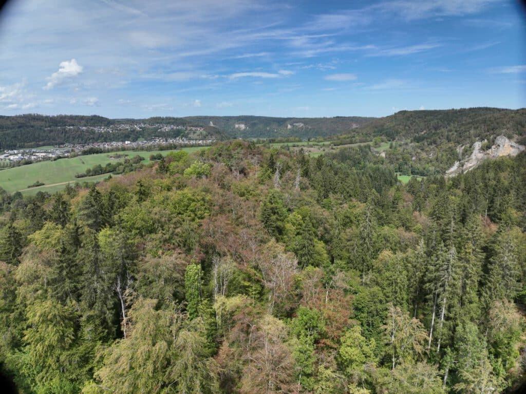Luftbild von Wald um Fridingen, bereits im September waren deutliche Verfärbung und Laubabwurf zu erkennen!